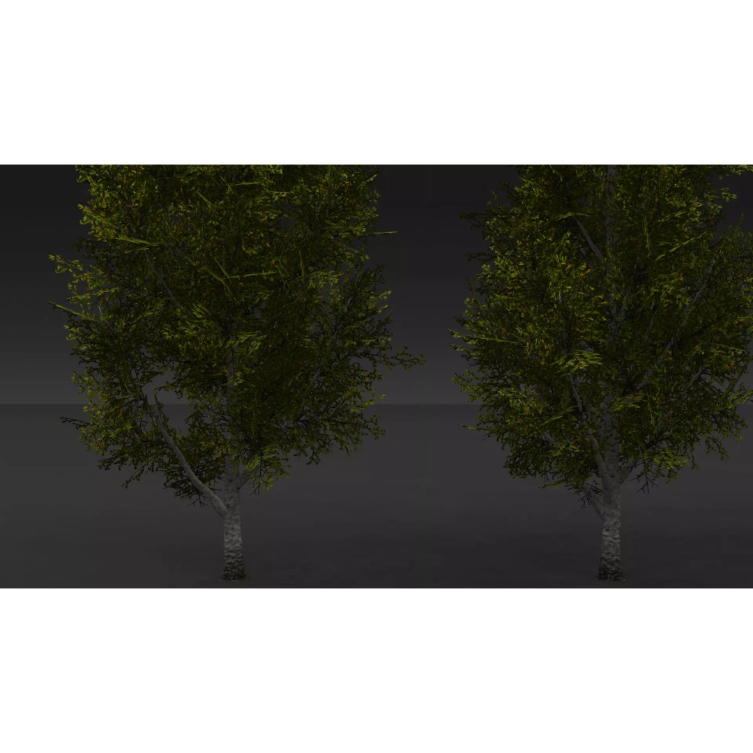 Realistic Birch Tree Pack 3D Model – Low Poly Game Asset, FBX - View 12