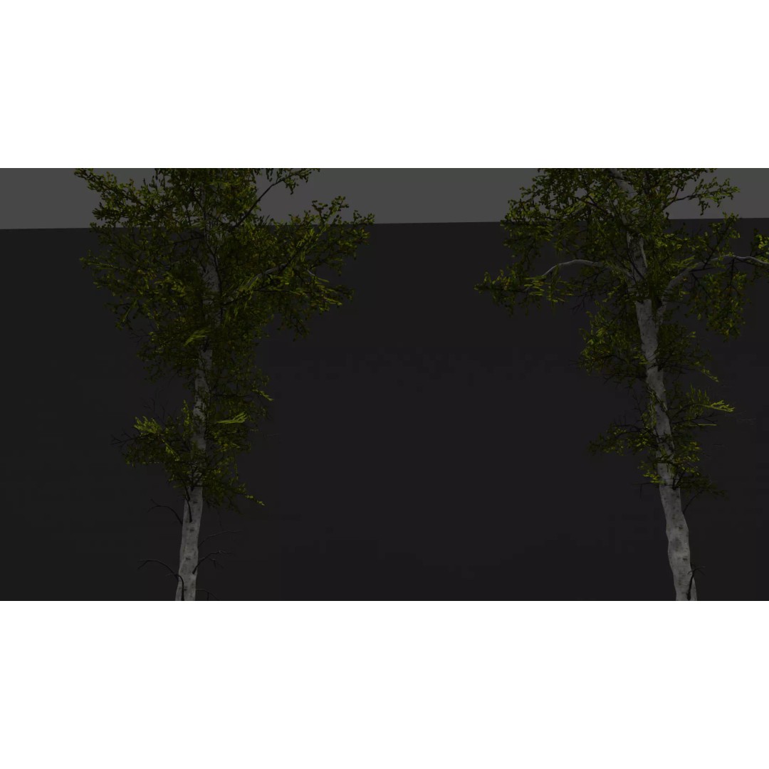 Realistic Birch Tree Pack 3D Model – Low Poly Game Asset, FBX - View 13