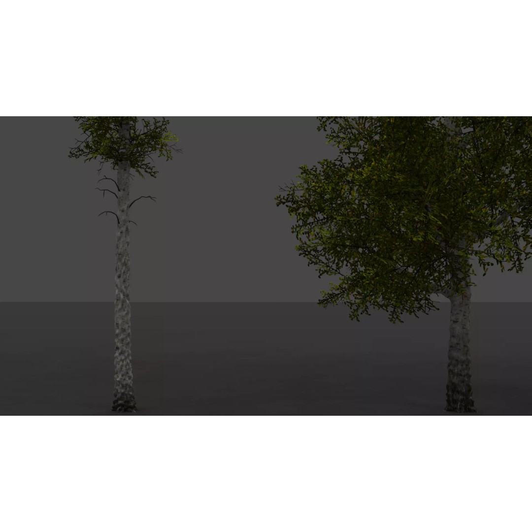 Realistic Birch Tree Pack 3D Model – Low Poly Game Asset, FBX - View 14
