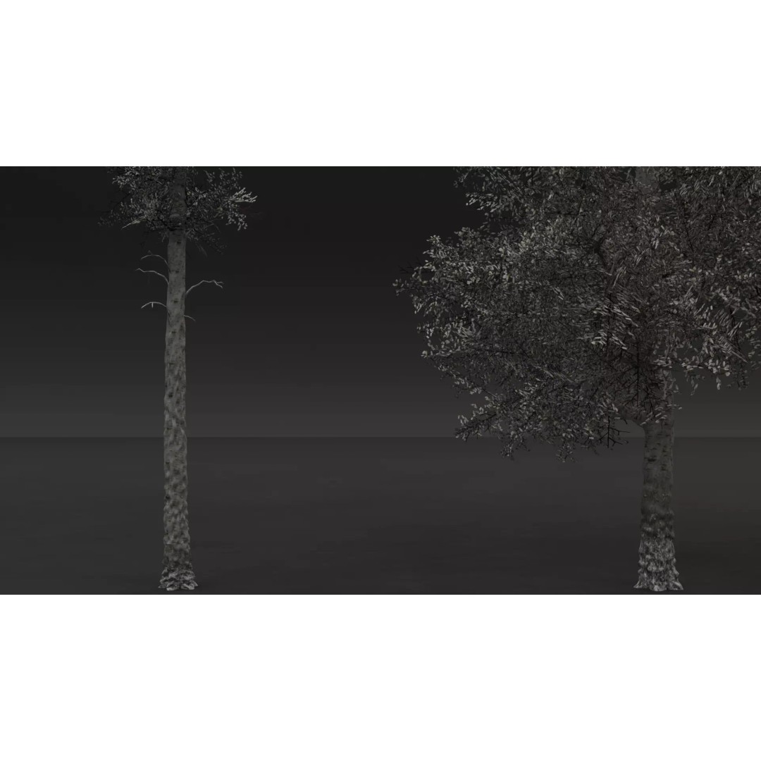 Realistic Birch Tree Pack 3D Model – Low Poly Game Asset, FBX - View 15