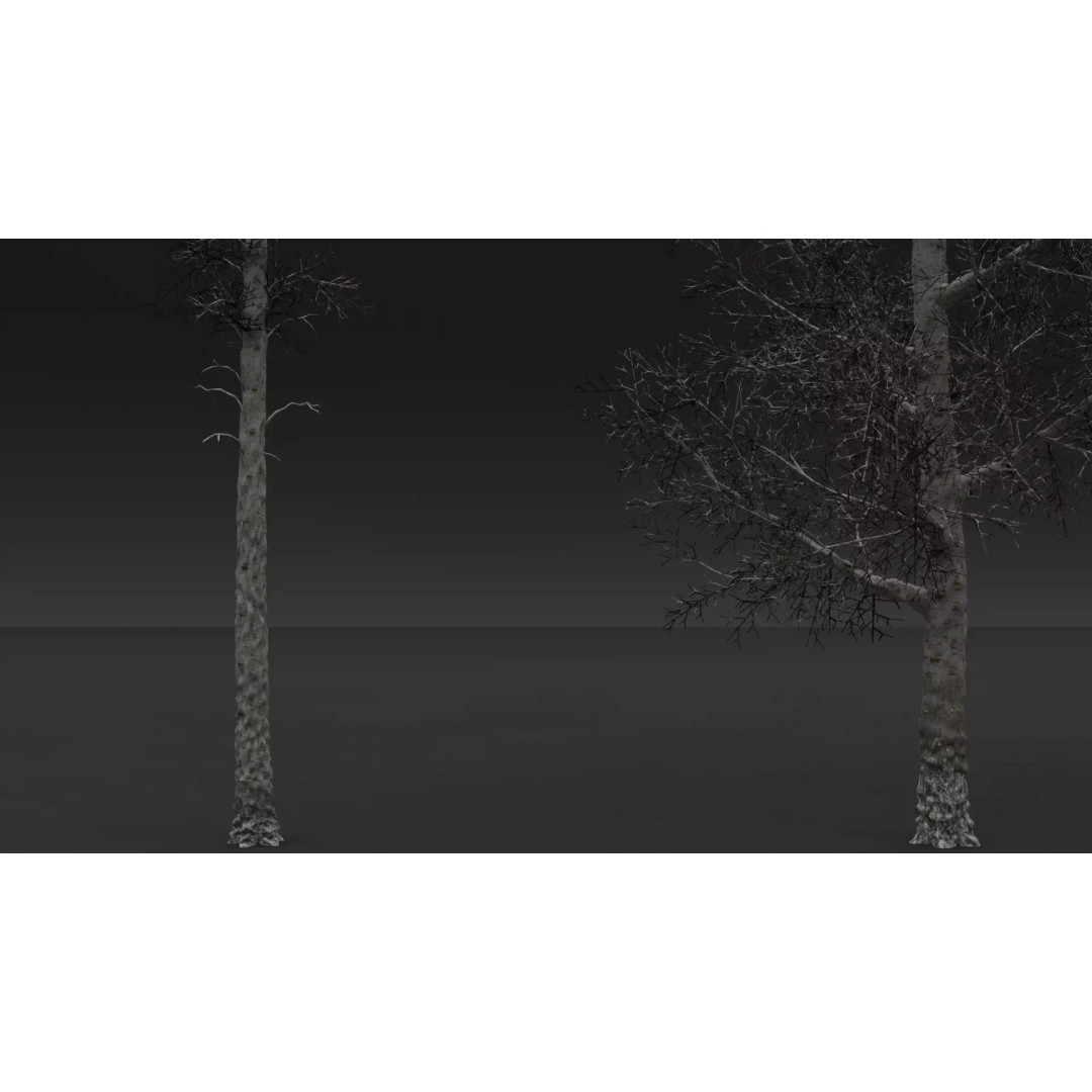 Realistic Birch Tree Pack 3D Model – Low Poly Game Asset, FBX - View 16