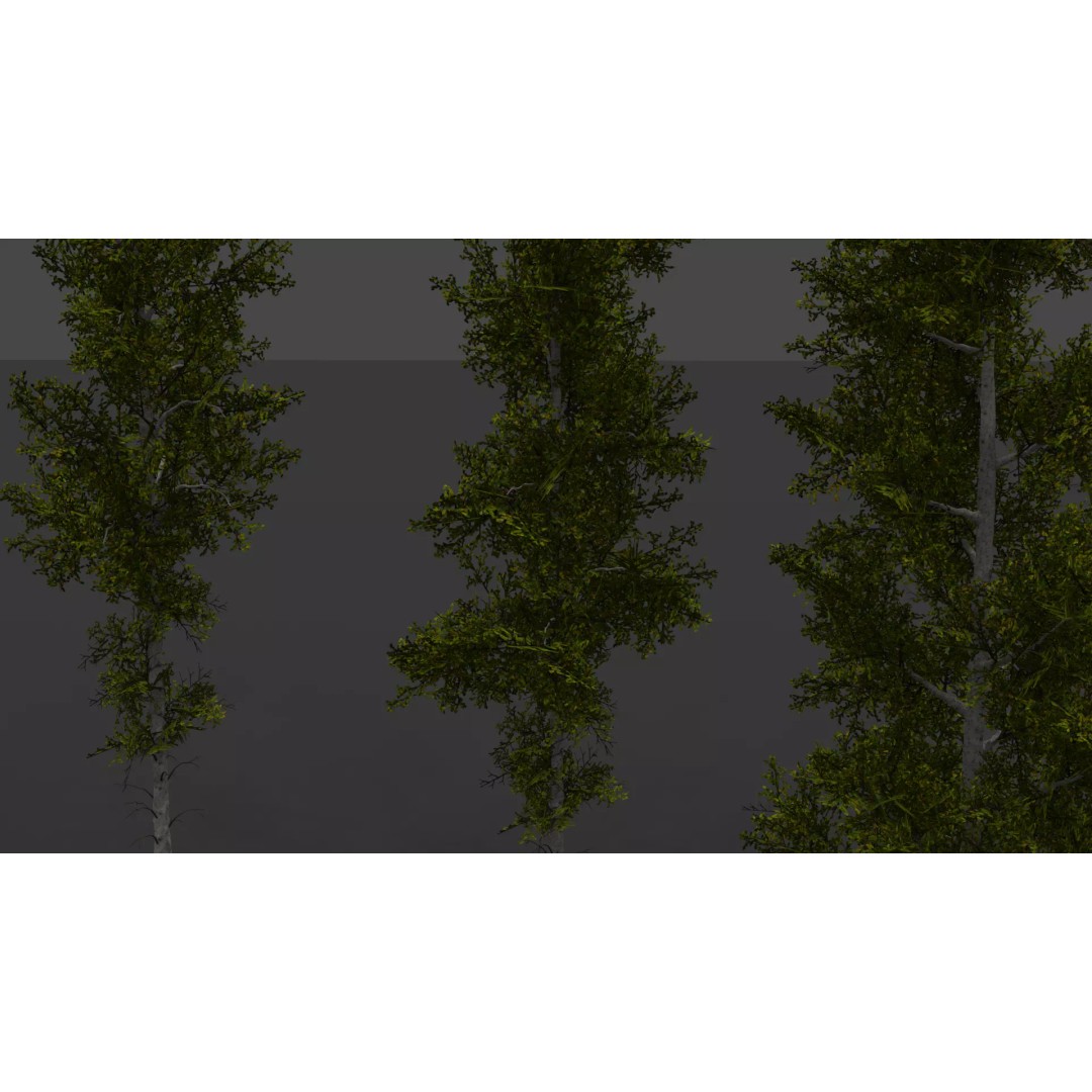 Realistic Birch Tree Pack 3D Model – Low Poly Game Asset, FBX - View 17