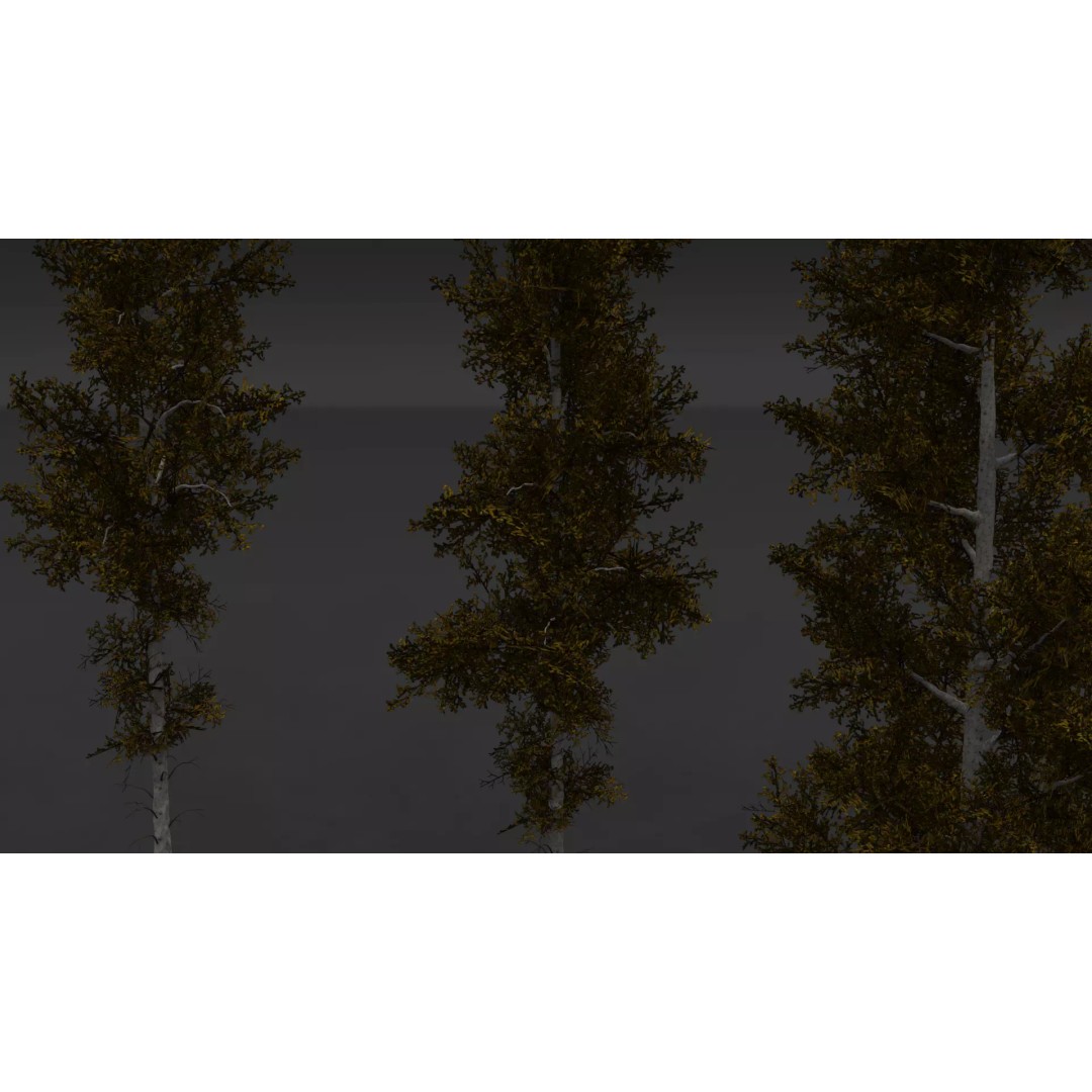 Realistic Birch Tree Pack 3D Model – Low Poly Game Asset, FBX - View 18