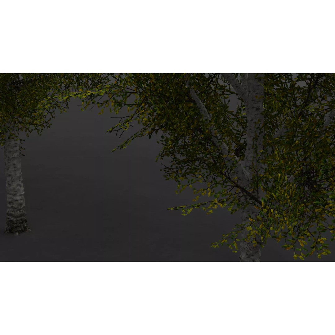 Realistic Birch Tree Pack 3D Model – Low Poly Game Asset, FBX - View 19