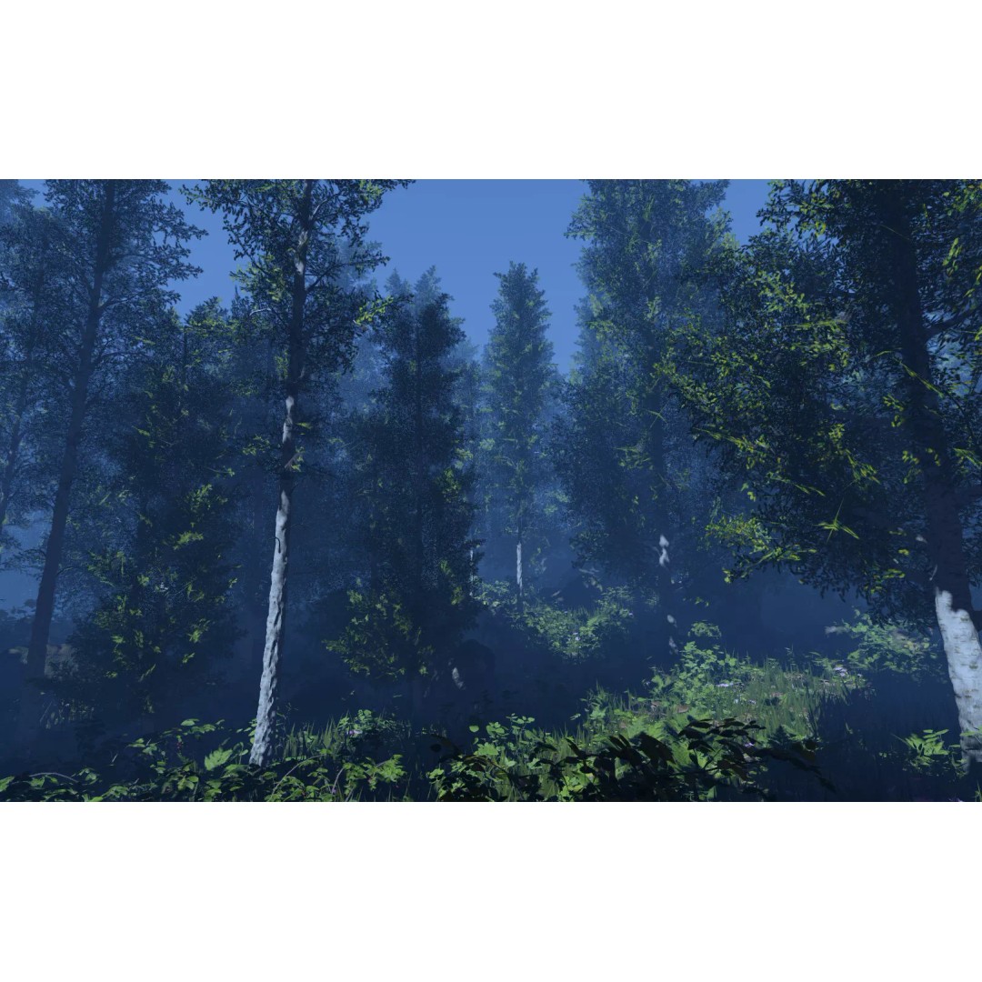 Realistic Birch Tree Pack 3D Model – Low Poly Game Asset, FBX - View 3