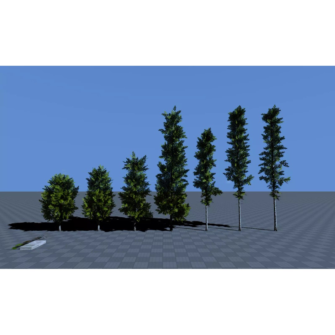 Realistic Birch Tree Pack 3D Model – Low Poly Game Asset, FBX - View 6