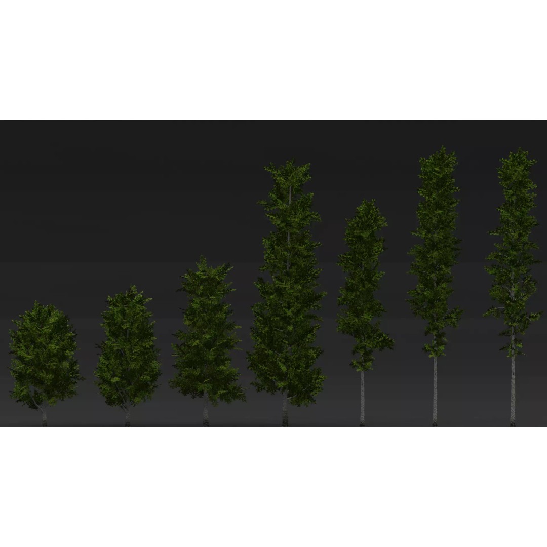 Realistic Birch Tree Pack 3D Model – Low Poly Game Asset, FBX - View 7