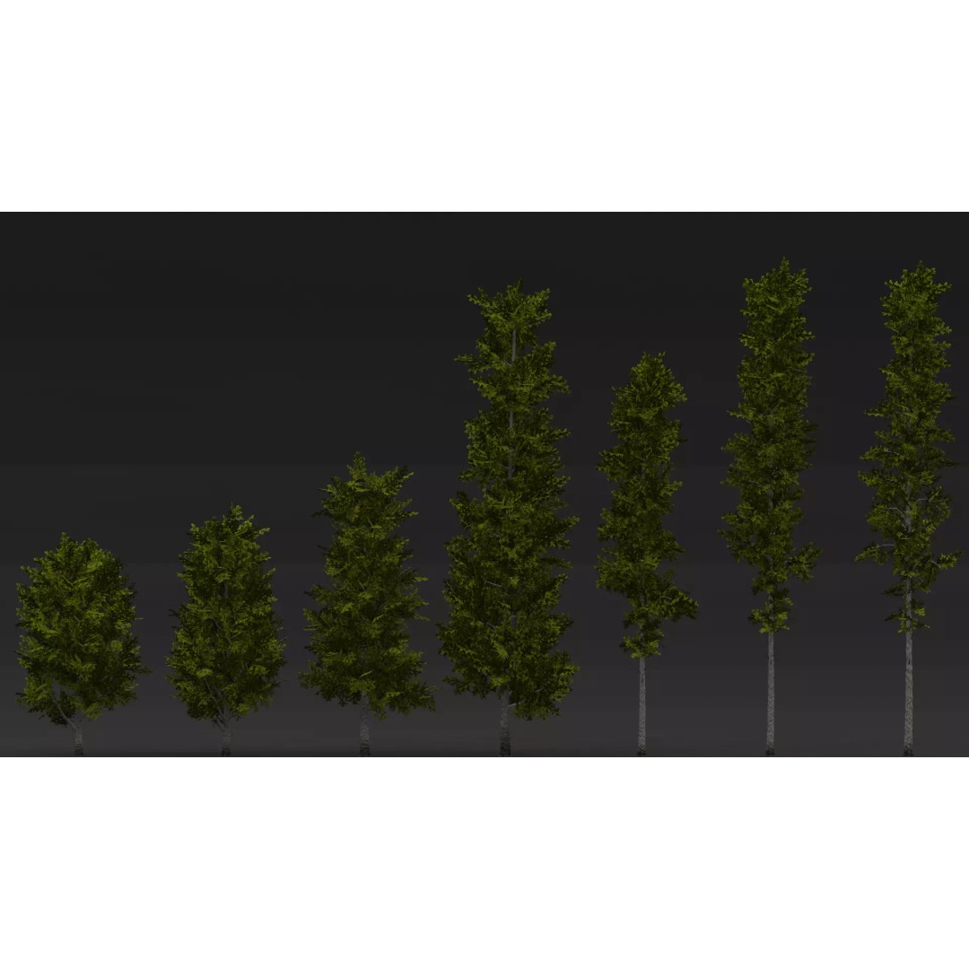 Realistic Birch Tree Pack 3D Model – Low Poly Game Asset, FBX - View 8