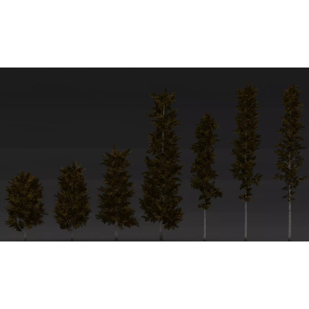 Realistic Birch Tree Pack 3D Model – Low Poly Game Asset, FBX - View 9