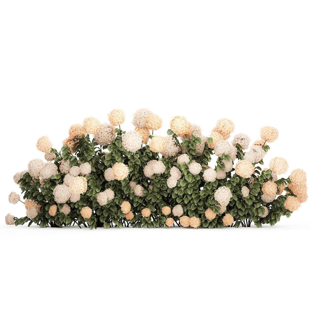 White Hydrangea 3D Model – Lush Bush for Garden Decoration, PBR - View 12