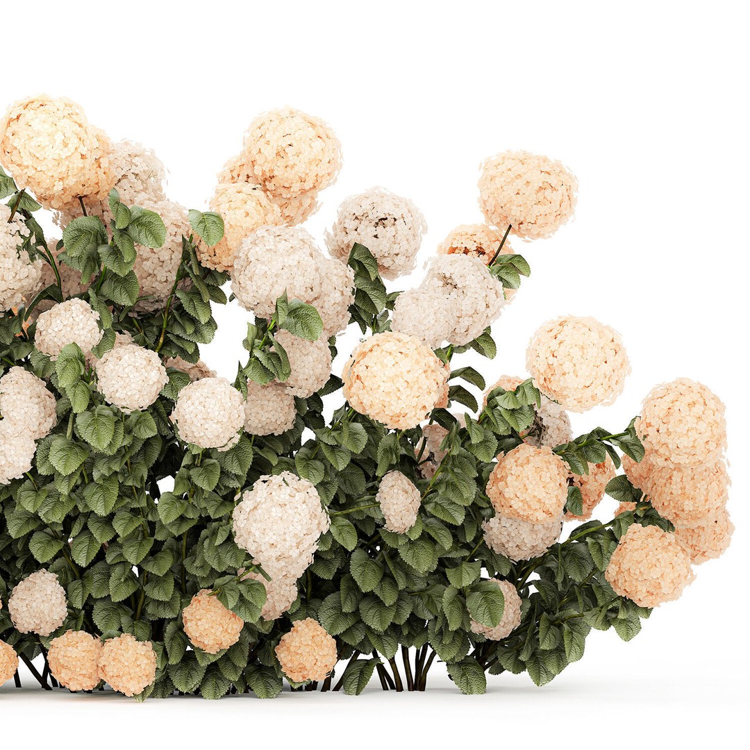 White Hydrangea 3D Model – Lush Bush for Garden Decoration, PBR - View 15