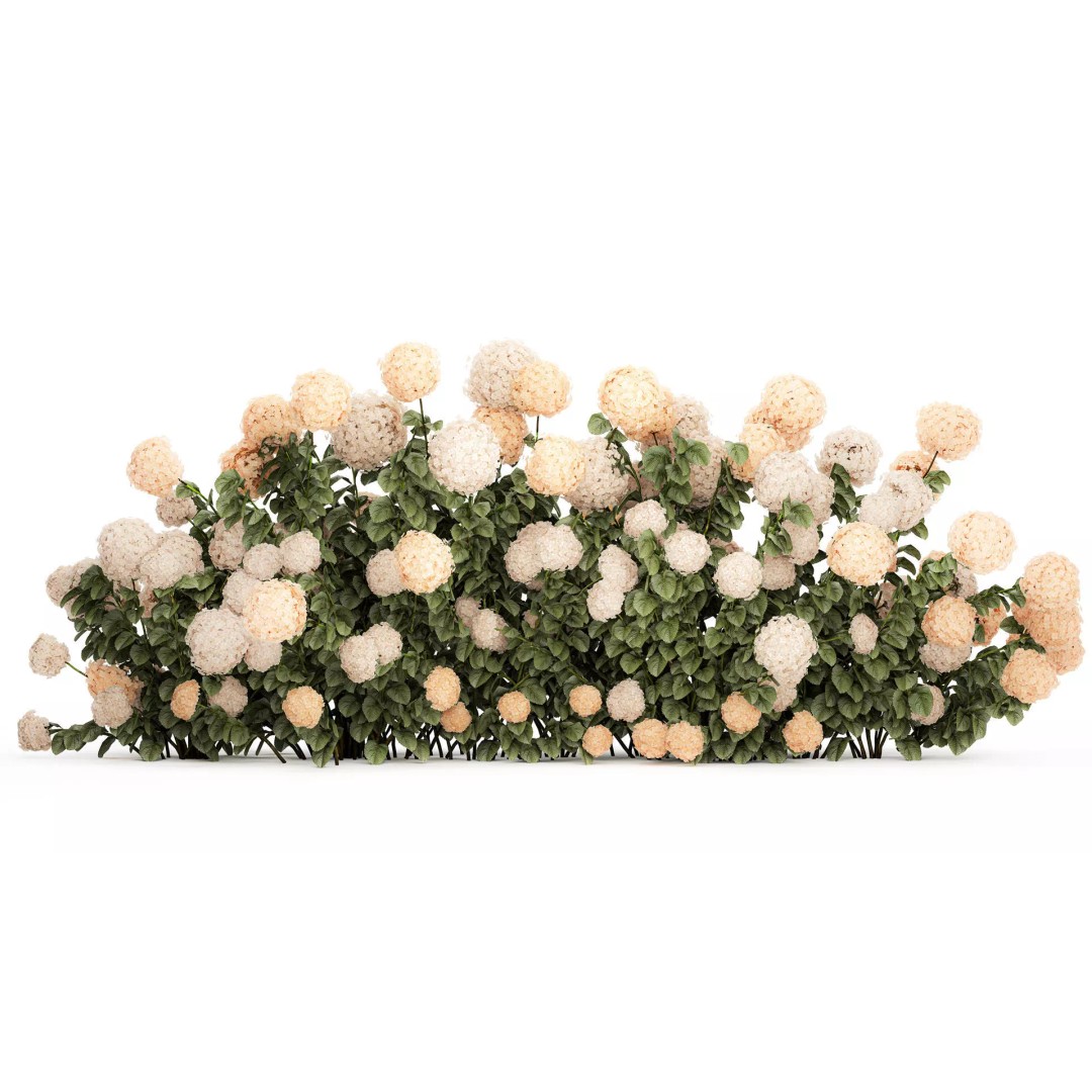 White Hydrangea 3D Model – Lush Bush for Garden Decoration, PBR - View 2