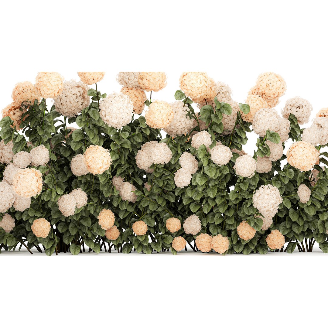 White Hydrangea 3D Model – Lush Bush for Garden Decoration, PBR - View 3