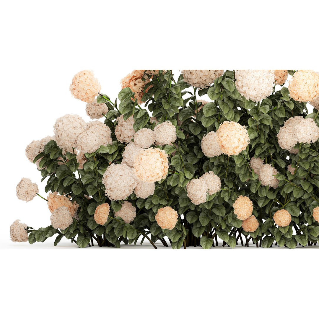 White Hydrangea 3D Model – Lush Bush for Garden Decoration, PBR - View 5