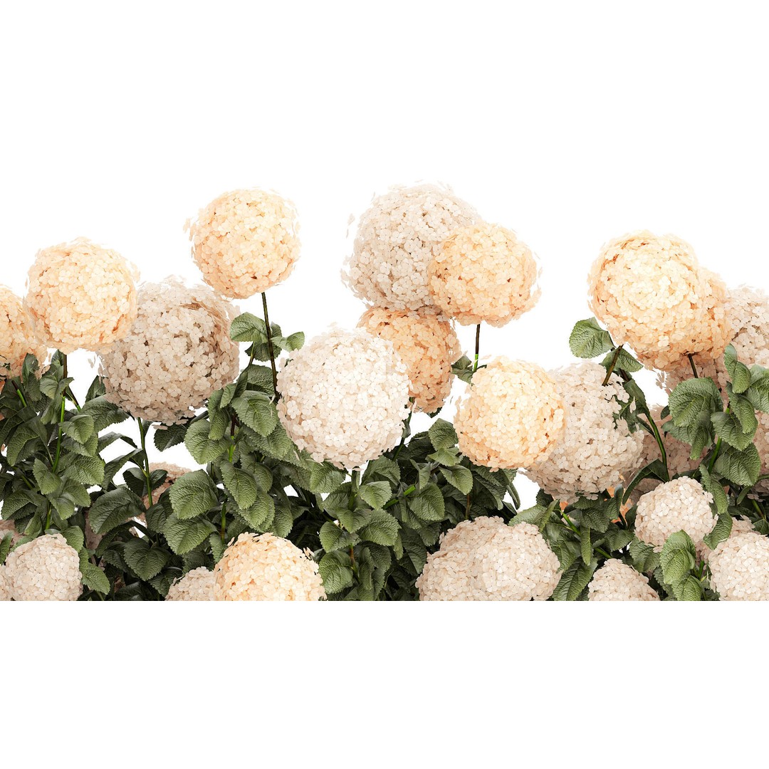White Hydrangea 3D Model – Lush Bush for Garden Decoration, PBR - View 6