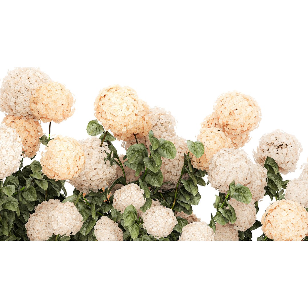 White Hydrangea 3D Model – Lush Bush for Garden Decoration, PBR - View 8
