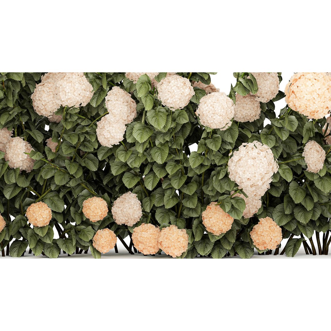 White Hydrangea 3D Model – Lush Bush for Garden Decoration, PBR - View 9
