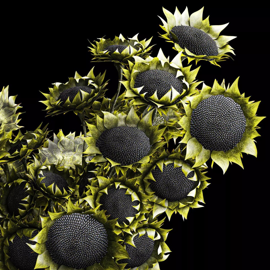 Realistic Sunflower Bouquet 3D Model – Modern Ceramic Vase, FBX - View 12