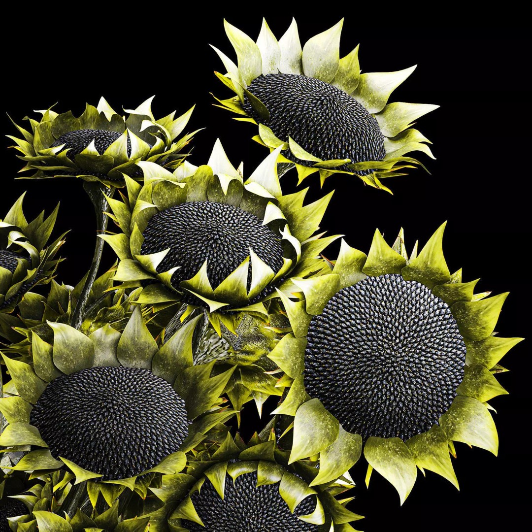 Realistic Sunflower Bouquet 3D Model – Modern Ceramic Vase, FBX - View 16