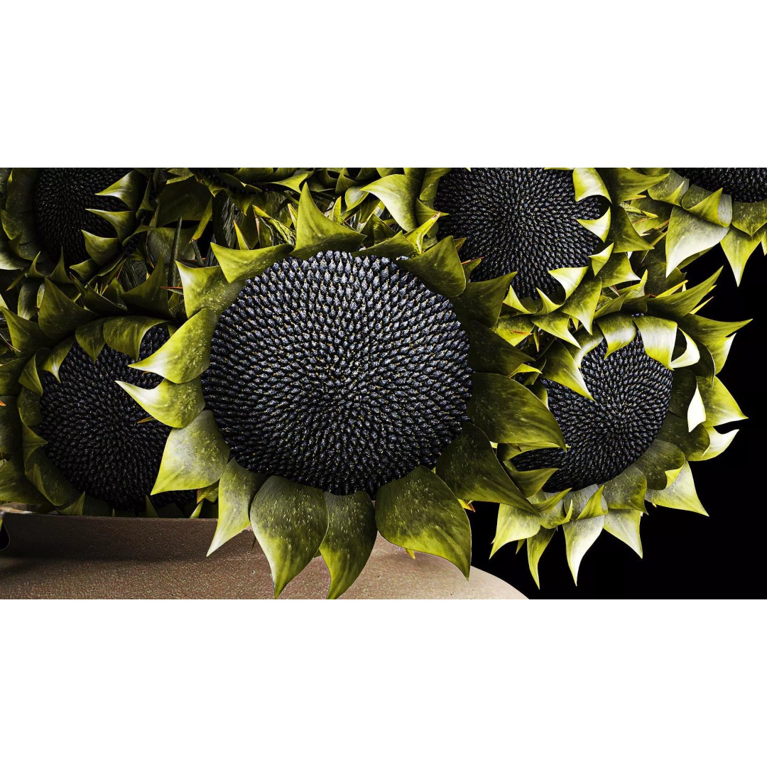 Realistic Sunflower Bouquet 3D Model – Modern Ceramic Vase, FBX - View 4