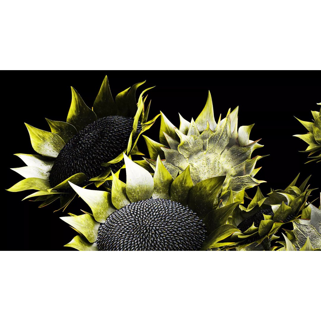 Realistic Sunflower Bouquet 3D Model – Modern Ceramic Vase, FBX - View 8