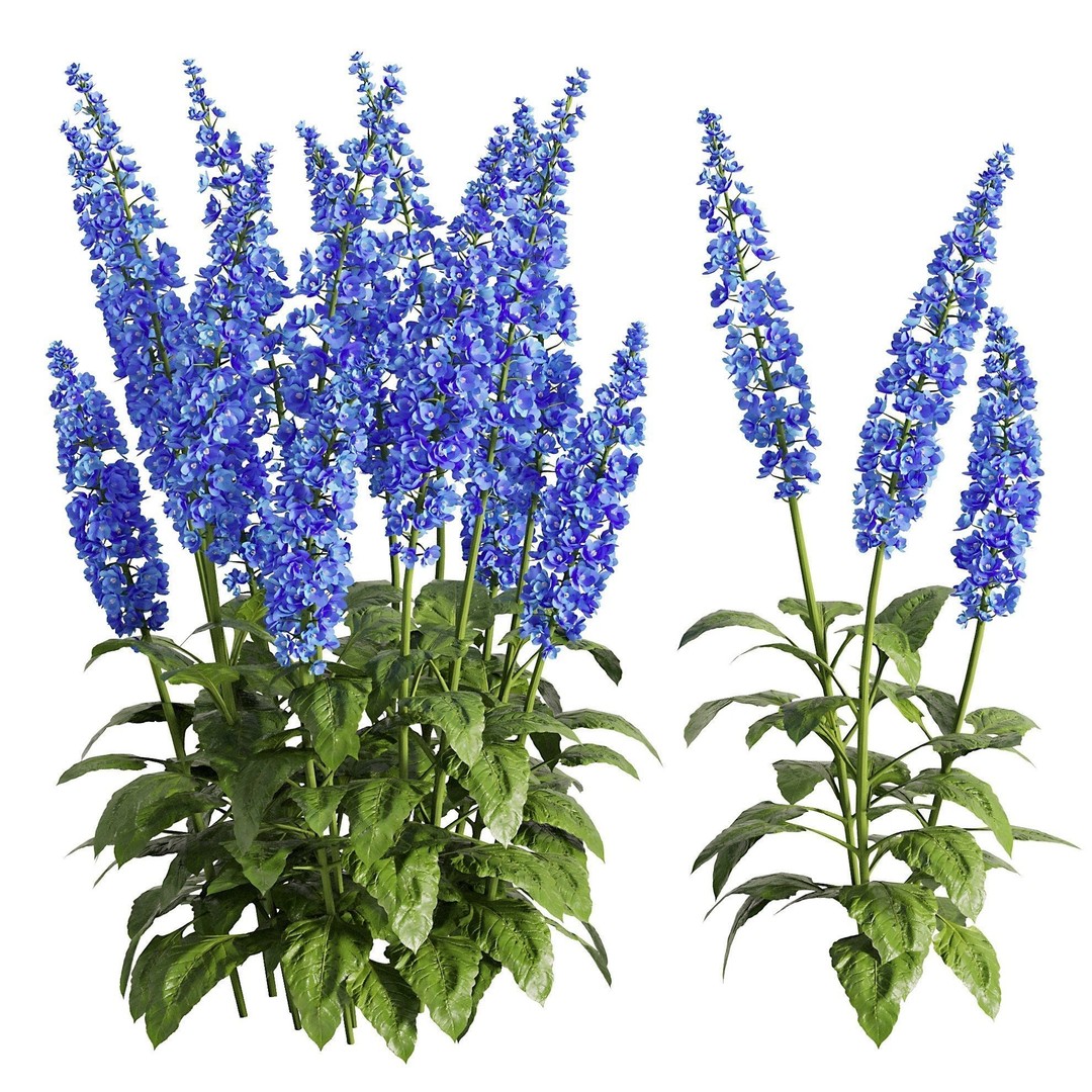 Flower Bush 3D Model – PBR Polygon Mesh for Outdoor Use - View 4