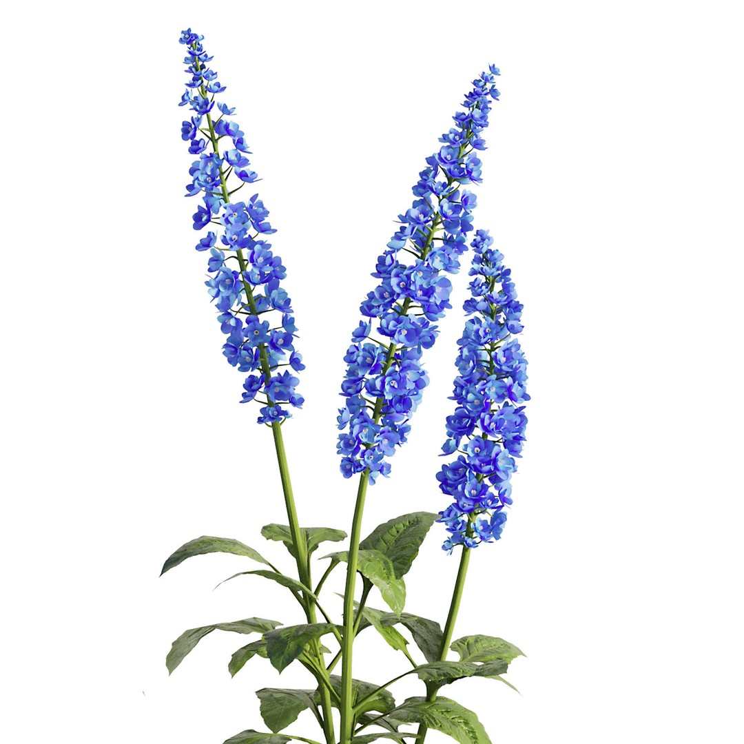 Flower Bush 3D Model – PBR Polygon Mesh for Outdoor Use - View 6