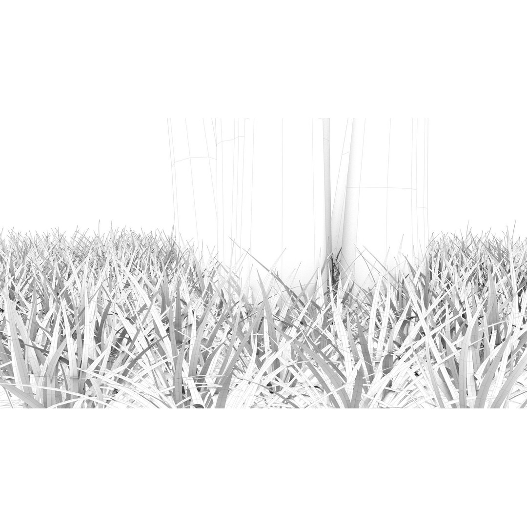 Barberri Tree 3D Model – Realistic Plant Asset, FBX, OBJ, C4D