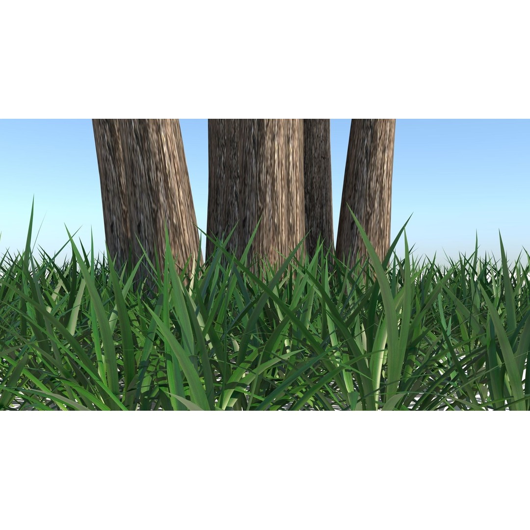 Barberri Tree 3D Model – Realistic Plant Asset, FBX, OBJ, C4D - View 10