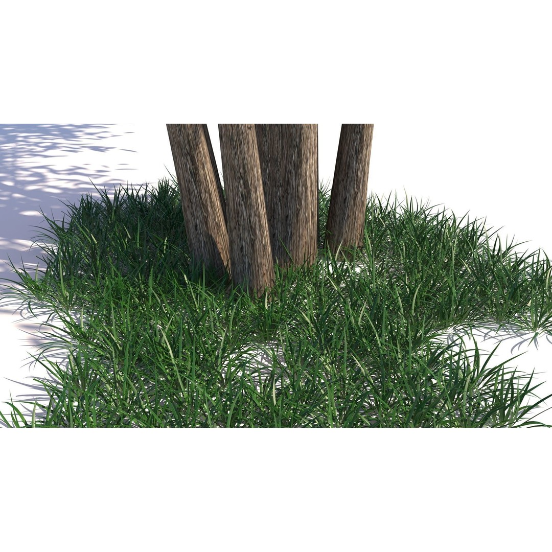 Barberri Tree 3D Model – Realistic Plant Asset, FBX, OBJ, C4D - View 12
