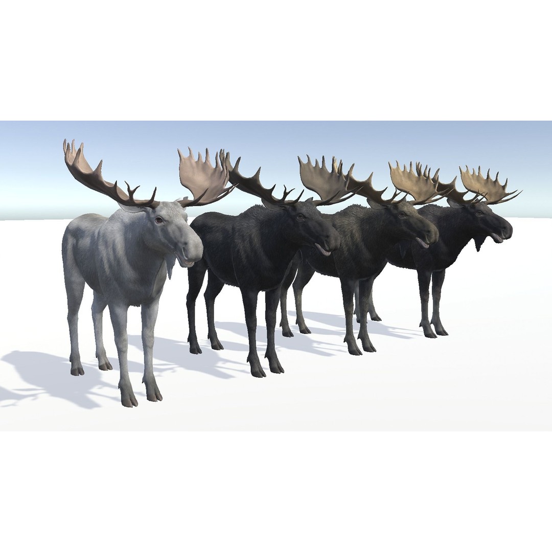 Moose Bull 3D Model – Low Poly Rigged Game Asset, FBX/OBJ - View 10