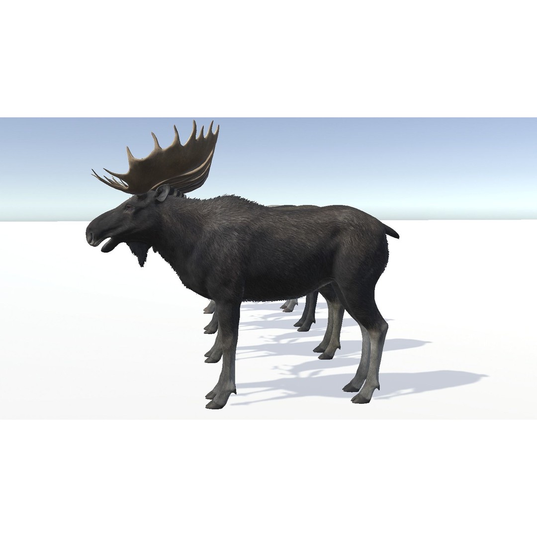 Moose Bull 3D Model – Low Poly Rigged Game Asset, FBX/OBJ - View 11