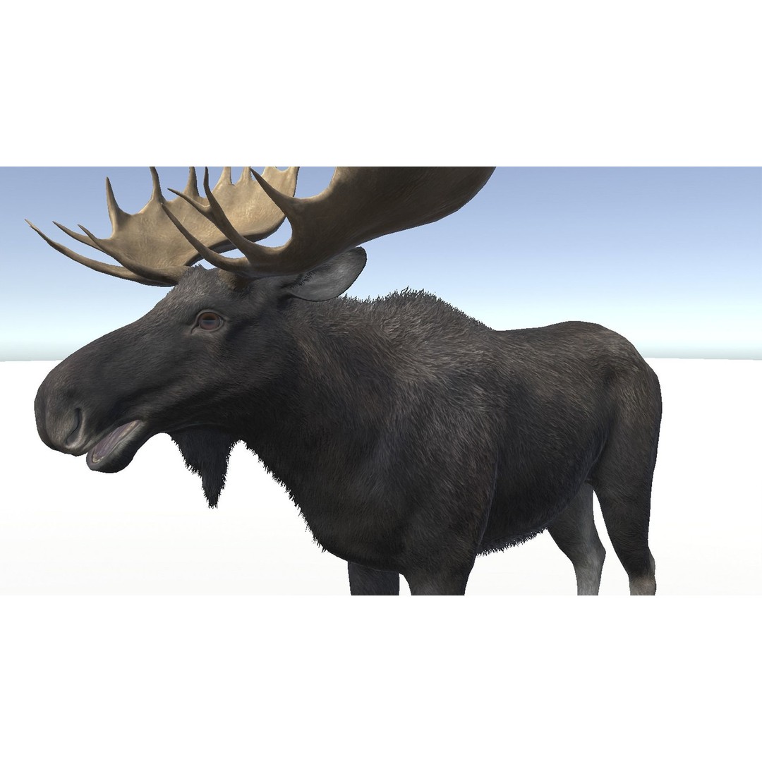Moose Bull 3D Model – Low Poly Rigged Game Asset, FBX/OBJ - View 13