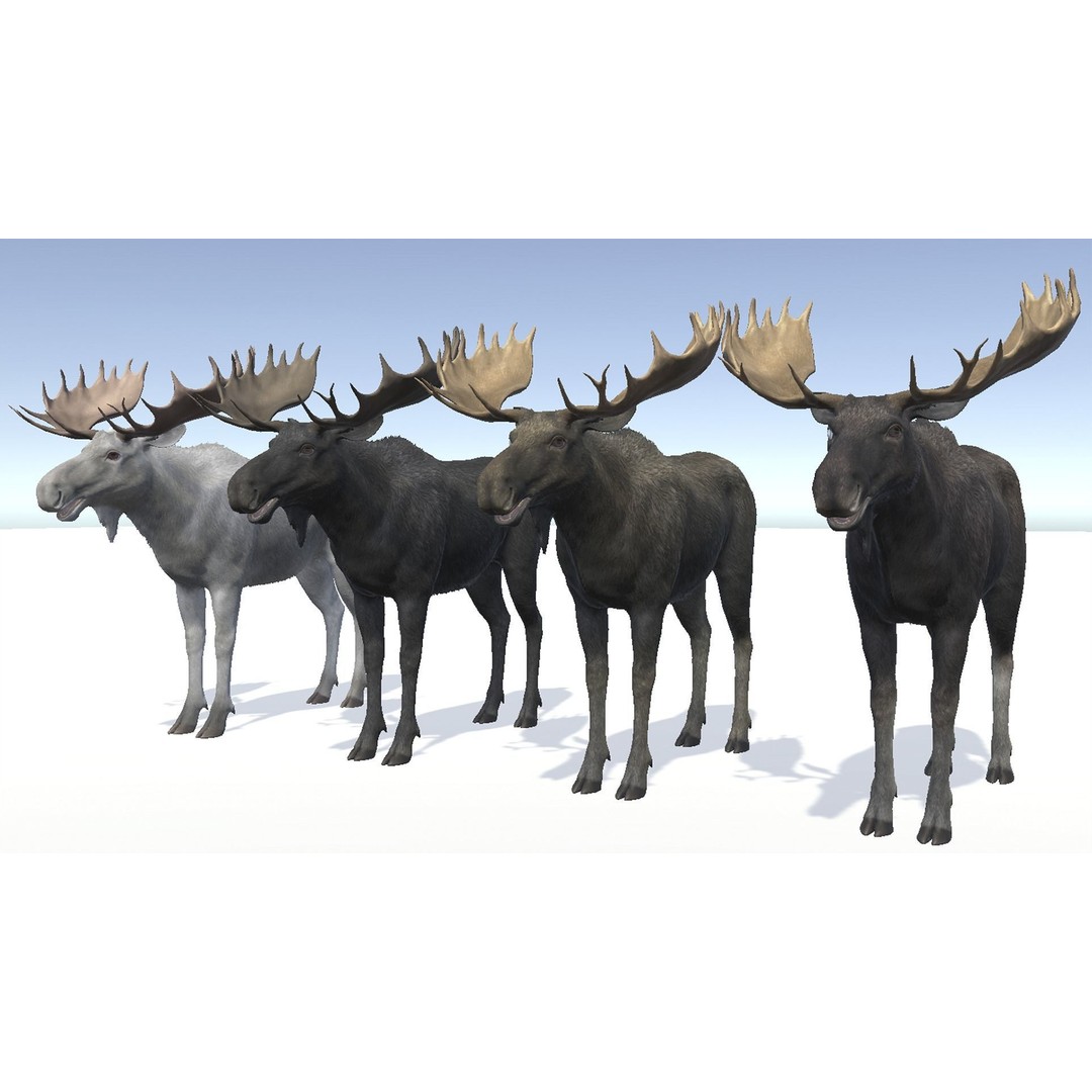 Moose Bull 3D Model – Low Poly Rigged Game Asset, FBX/OBJ - View 8