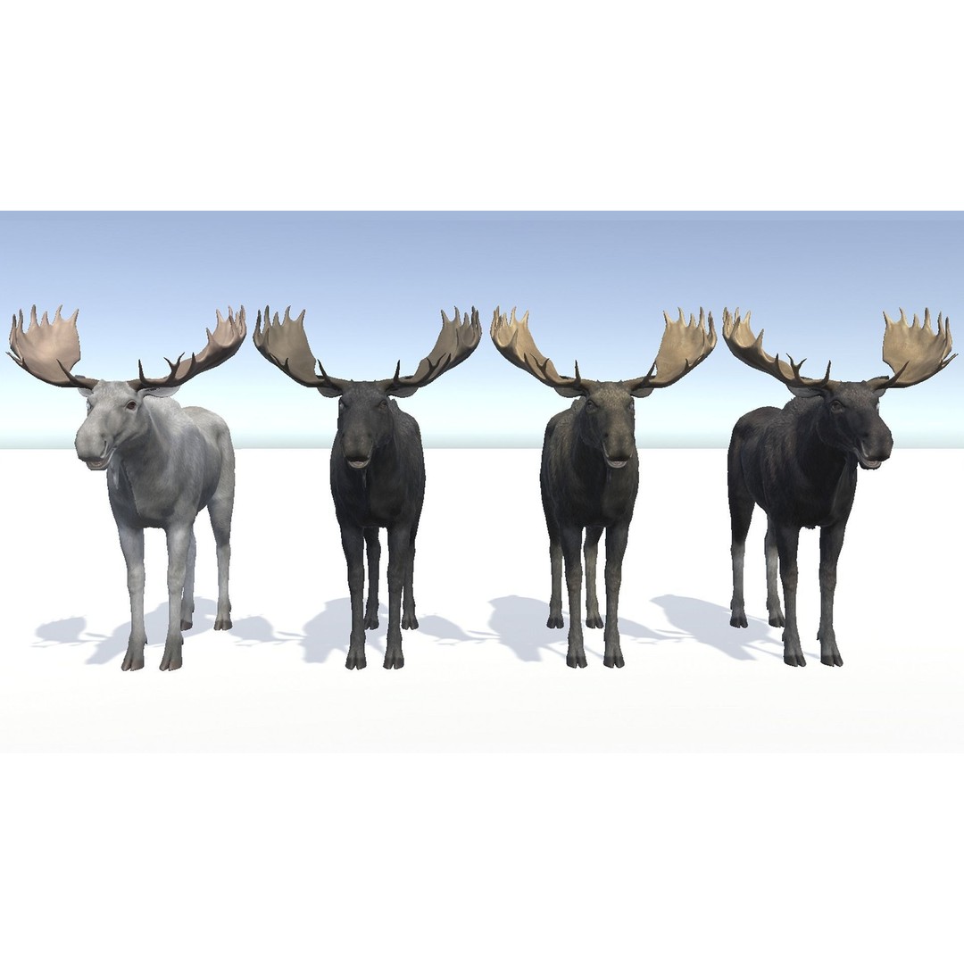 Moose Bull 3D Model – Low Poly Rigged Game Asset, FBX/OBJ - View 9