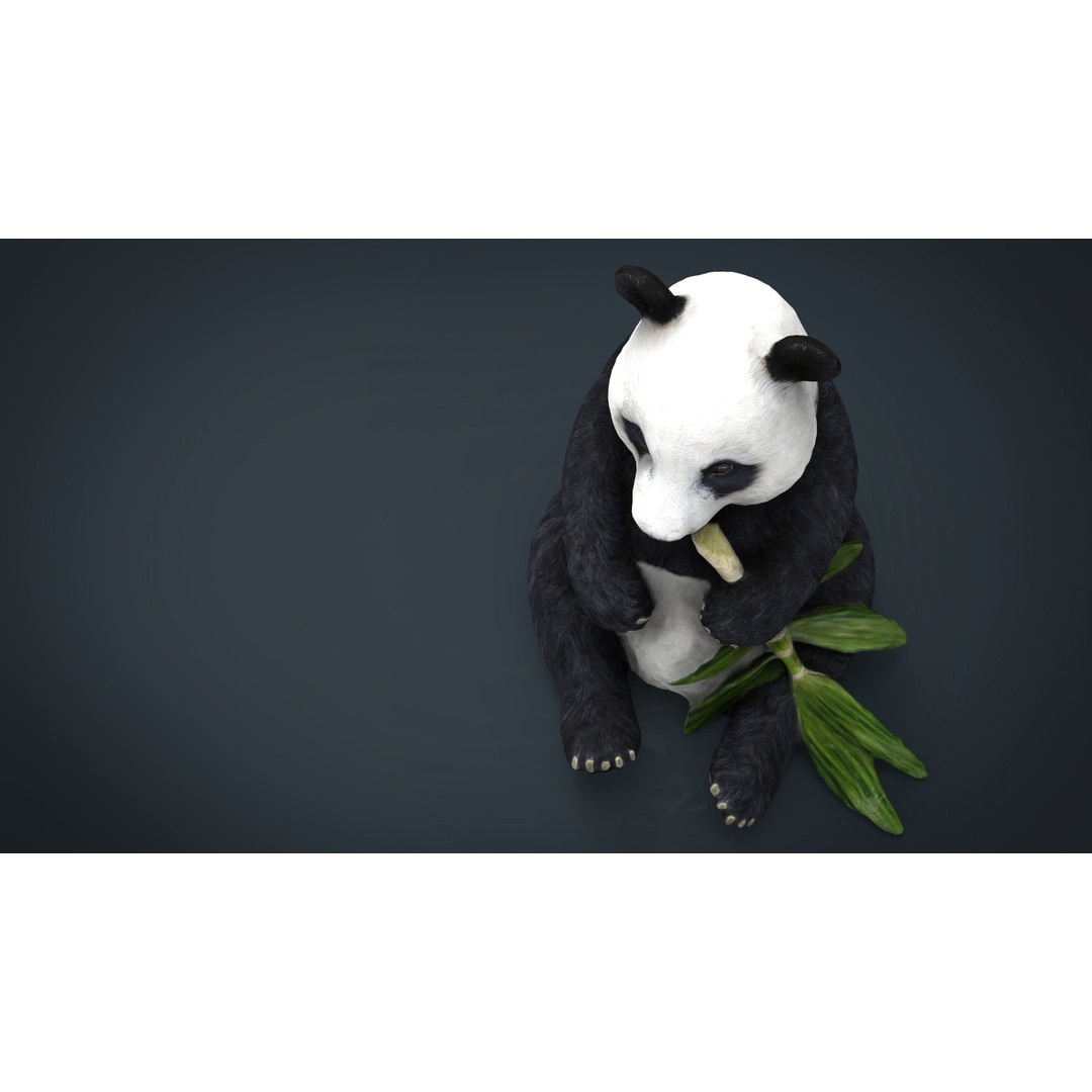 Panda Bear 3D Model – Low Poly Game Asset, FBX, OBJ, PBR Textures - View 12