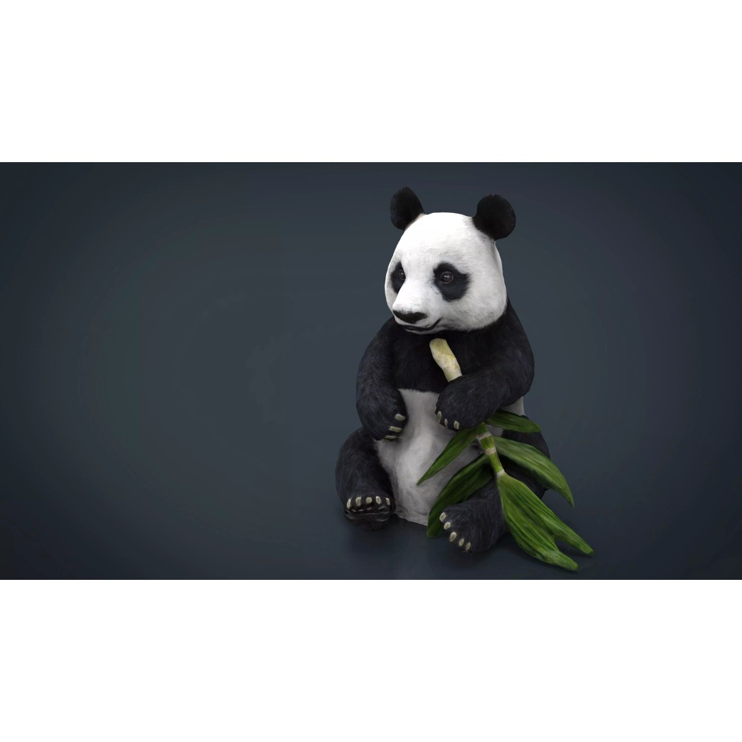 Panda Bear 3D Model – Low Poly Game Asset, FBX, OBJ, PBR Textures - View 2