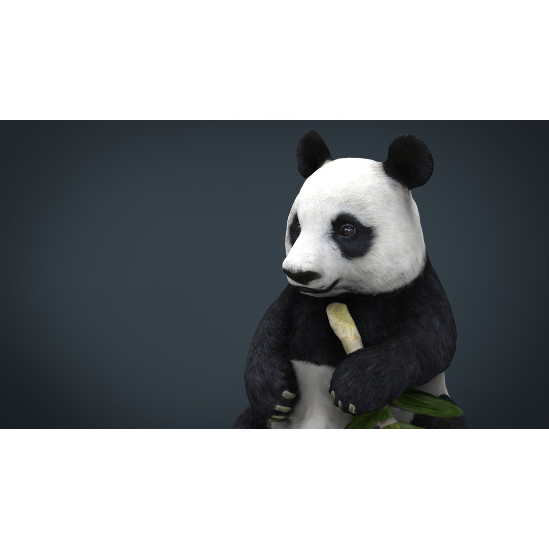 Panda Bear 3D Model – Low Poly Game Asset, FBX, OBJ, PBR Textures - View 3