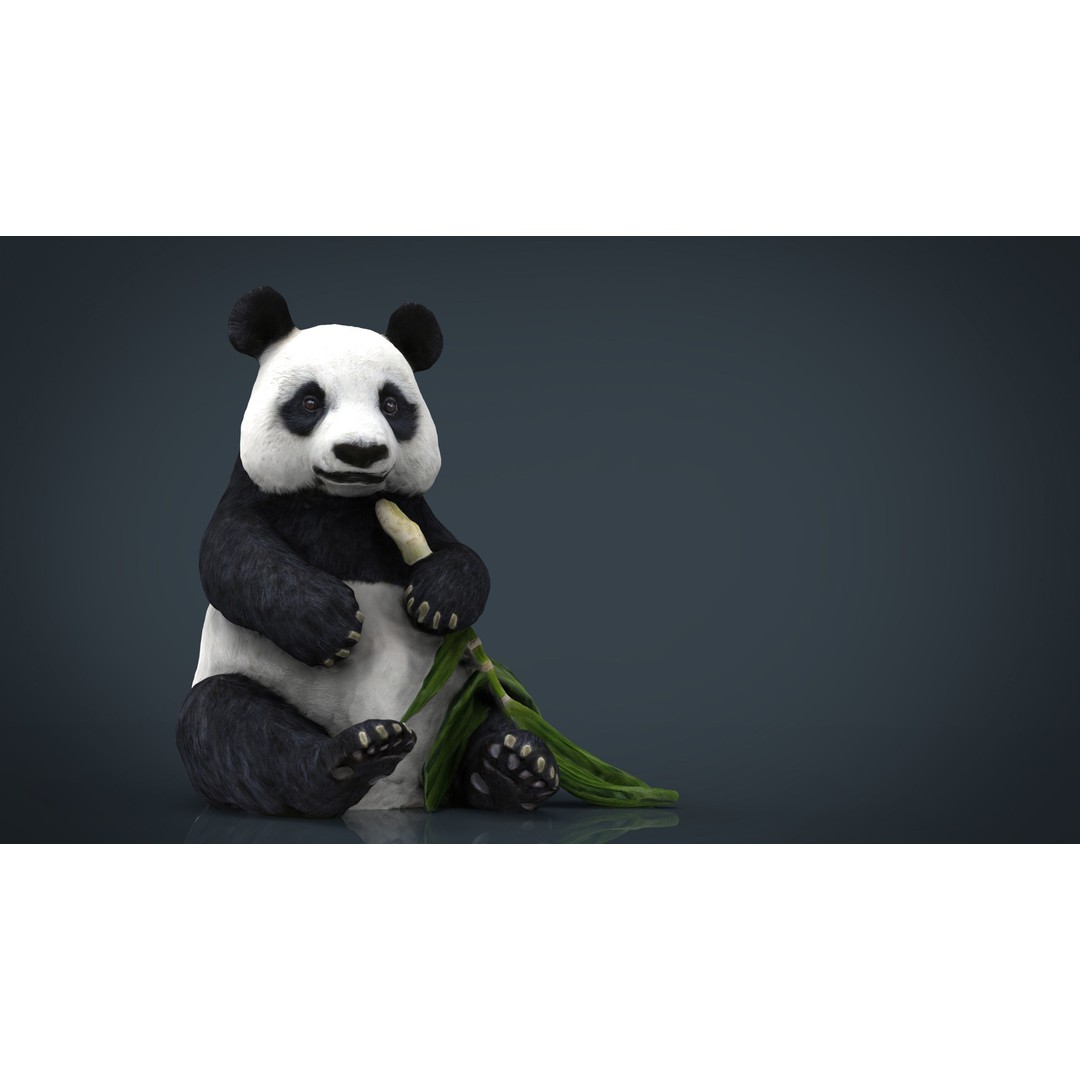 Panda Bear 3D Model – Low Poly Game Asset, FBX, OBJ, PBR Textures - View 7