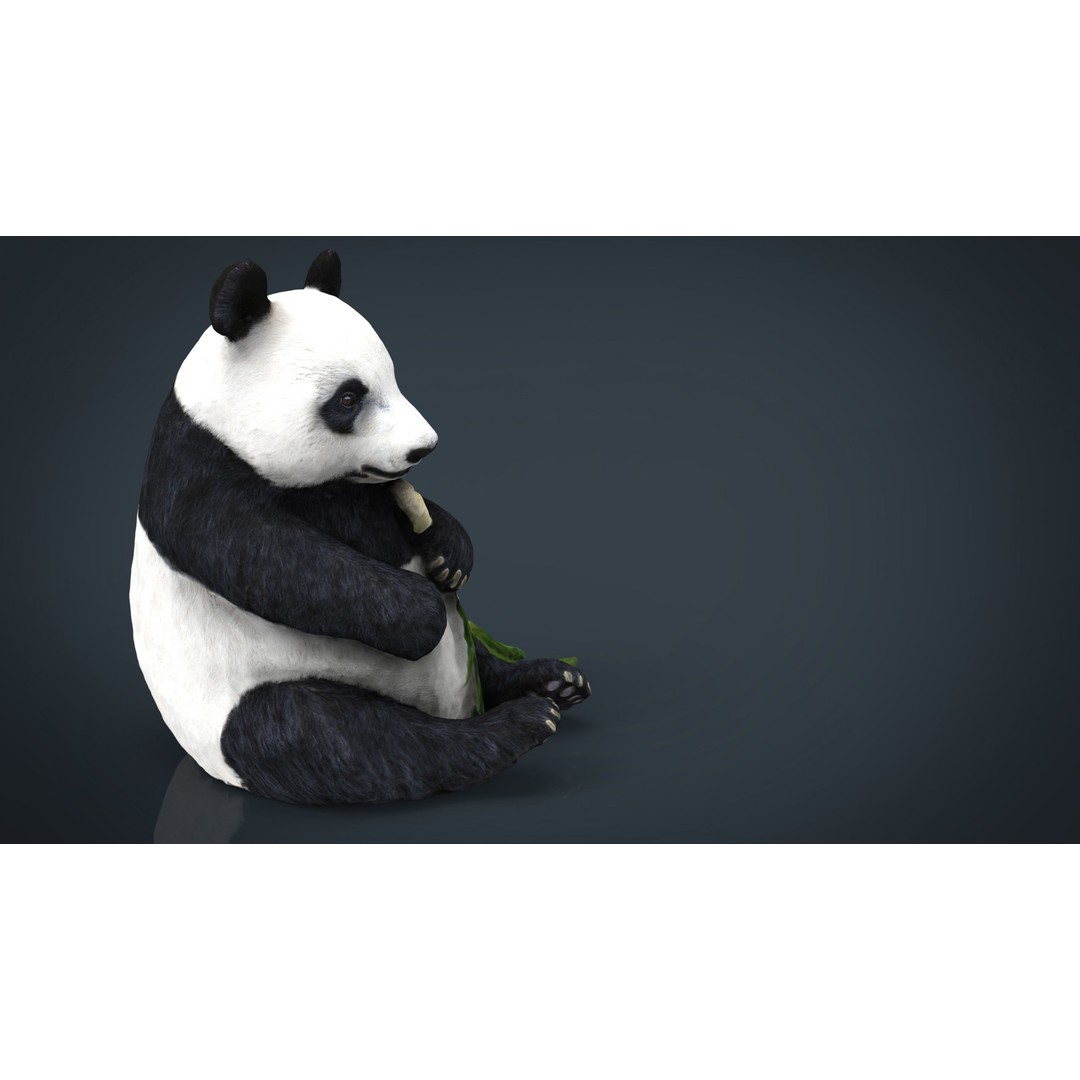 Panda Bear 3D Model – Low Poly Game Asset, FBX, OBJ, PBR Textures - View 8