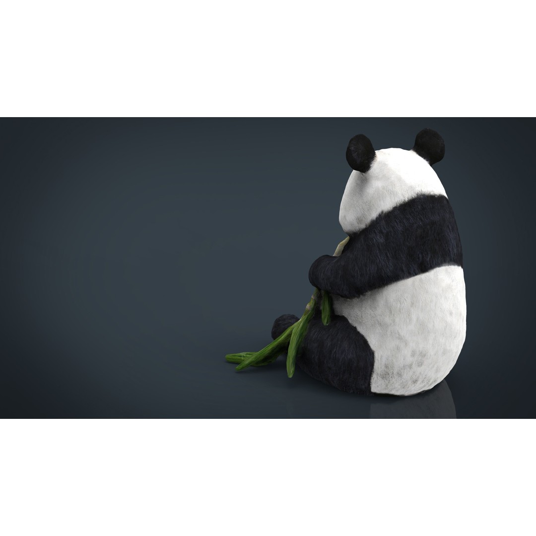 Panda Bear 3D Model – Low Poly Game Asset, FBX, OBJ, PBR Textures - View 9