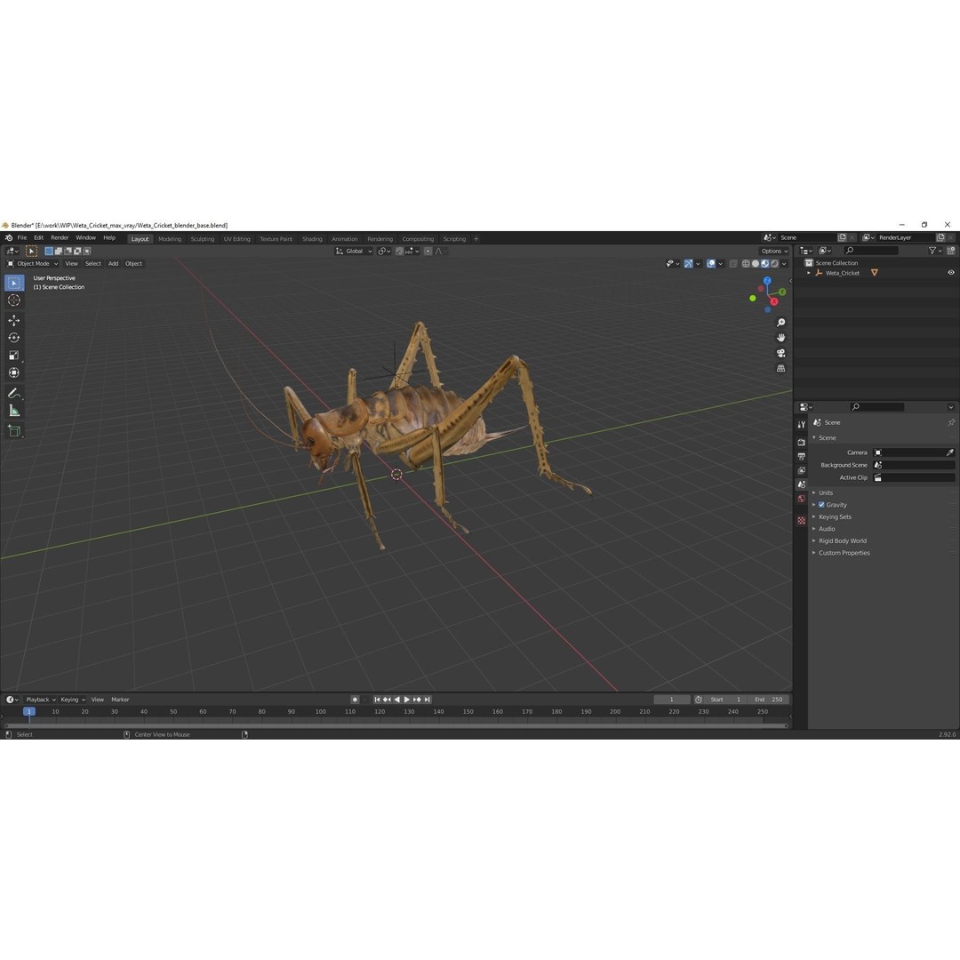Weta Cricket 3D Model – High Quality Insect Model, FBX, PBR Textures - View 52