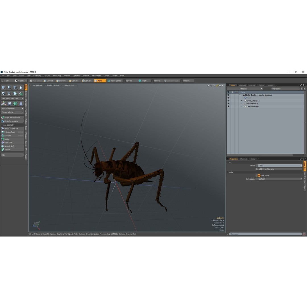 Weta Cricket 3D Model – High Quality Insect Model, FBX, PBR Textures - View 53
