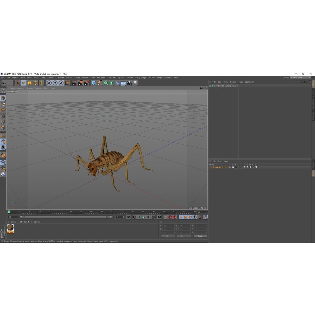 Weta Cricket 3D Model – High Quality Insect Model, FBX, PBR Textures - View 54