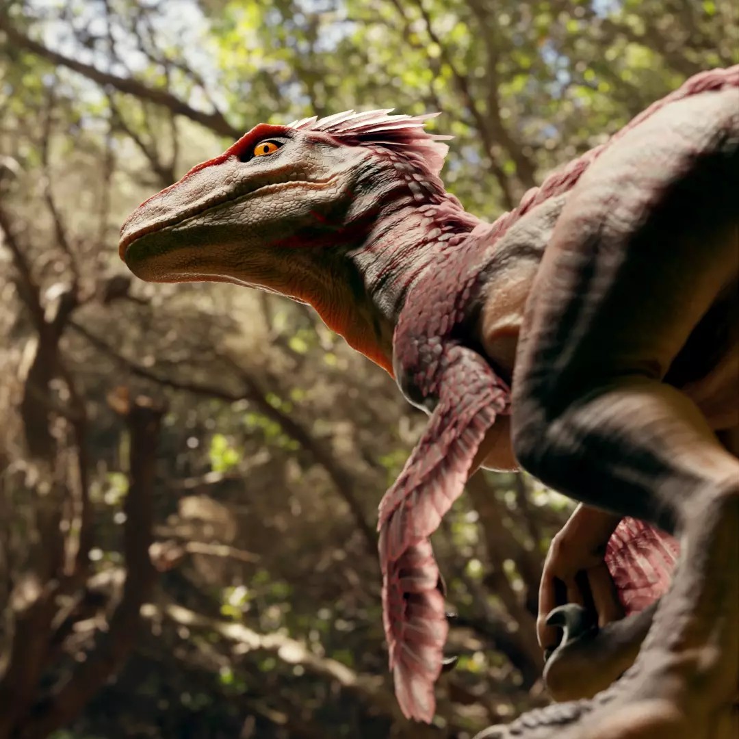 Feathered Raptor 3D Model – Rigged Low Poly Dinosaur for Games, FBX - View 4