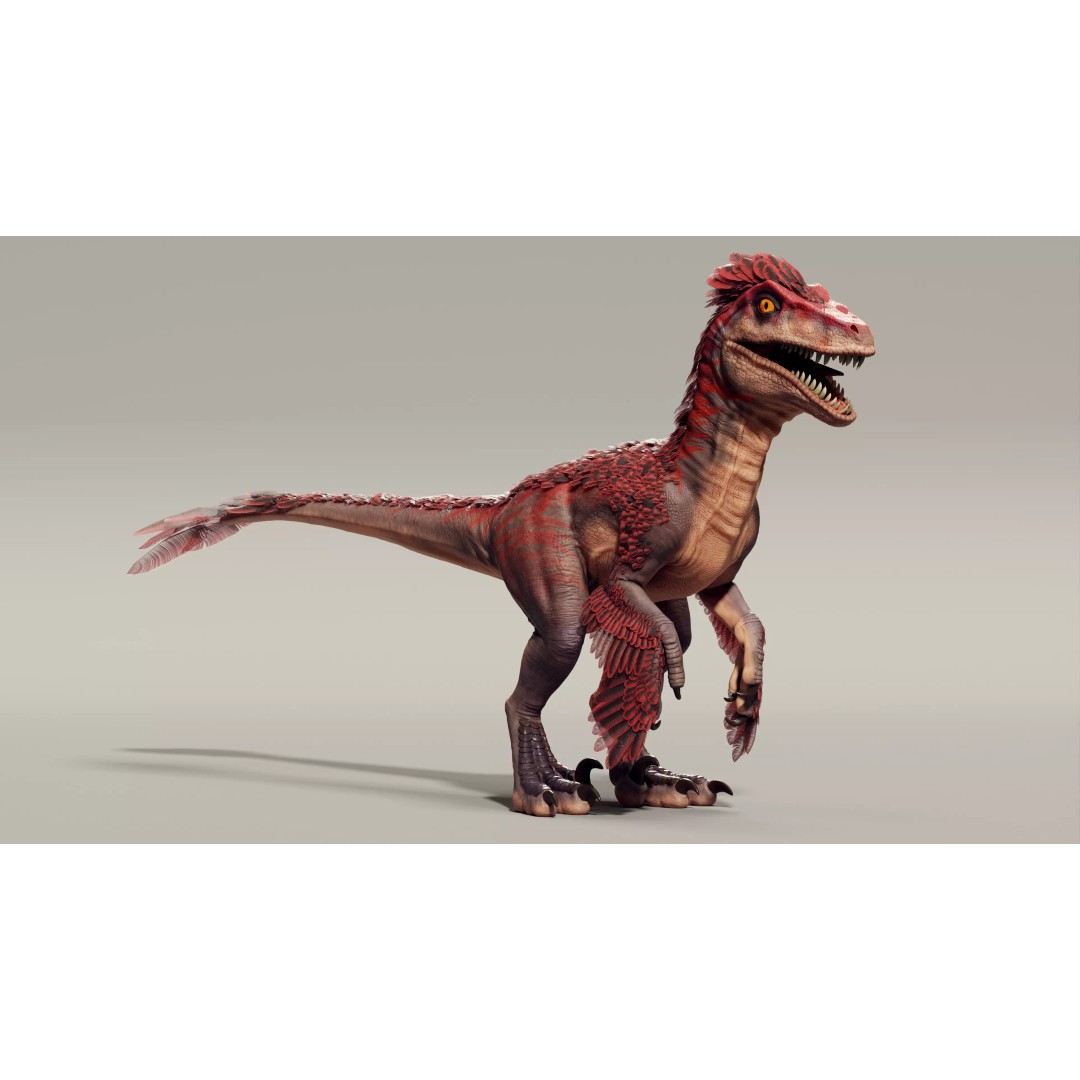 Feathered Raptor 3D Model – Rigged Low Poly Dinosaur for Games, FBX - View 7
