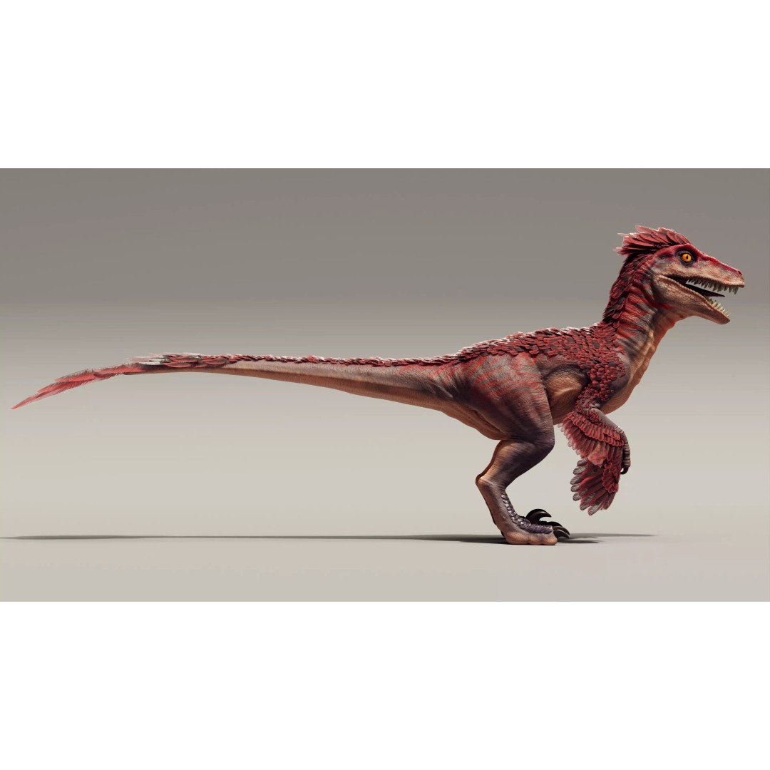 Feathered Raptor 3D Model – Rigged Low Poly Dinosaur for Games, FBX - View 8