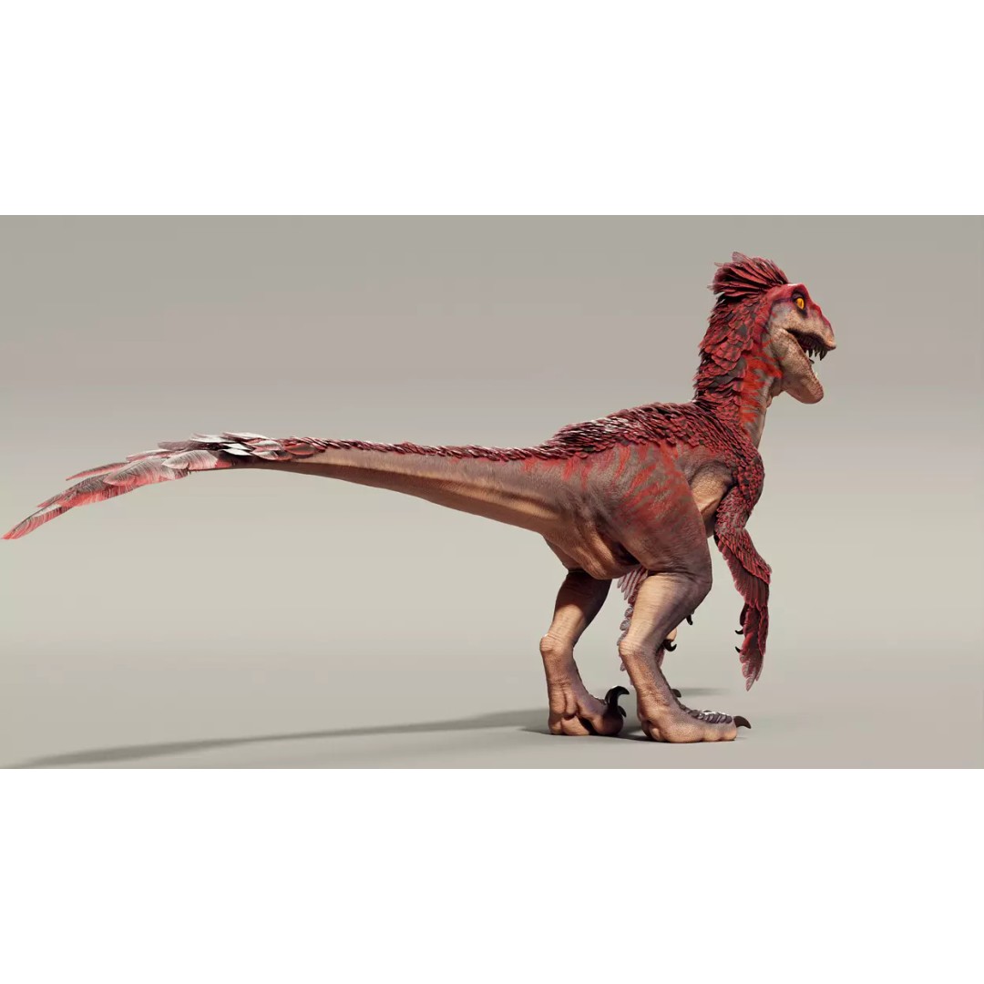Feathered Raptor 3D Model – Rigged Low Poly Dinosaur for Games, FBX - View 9