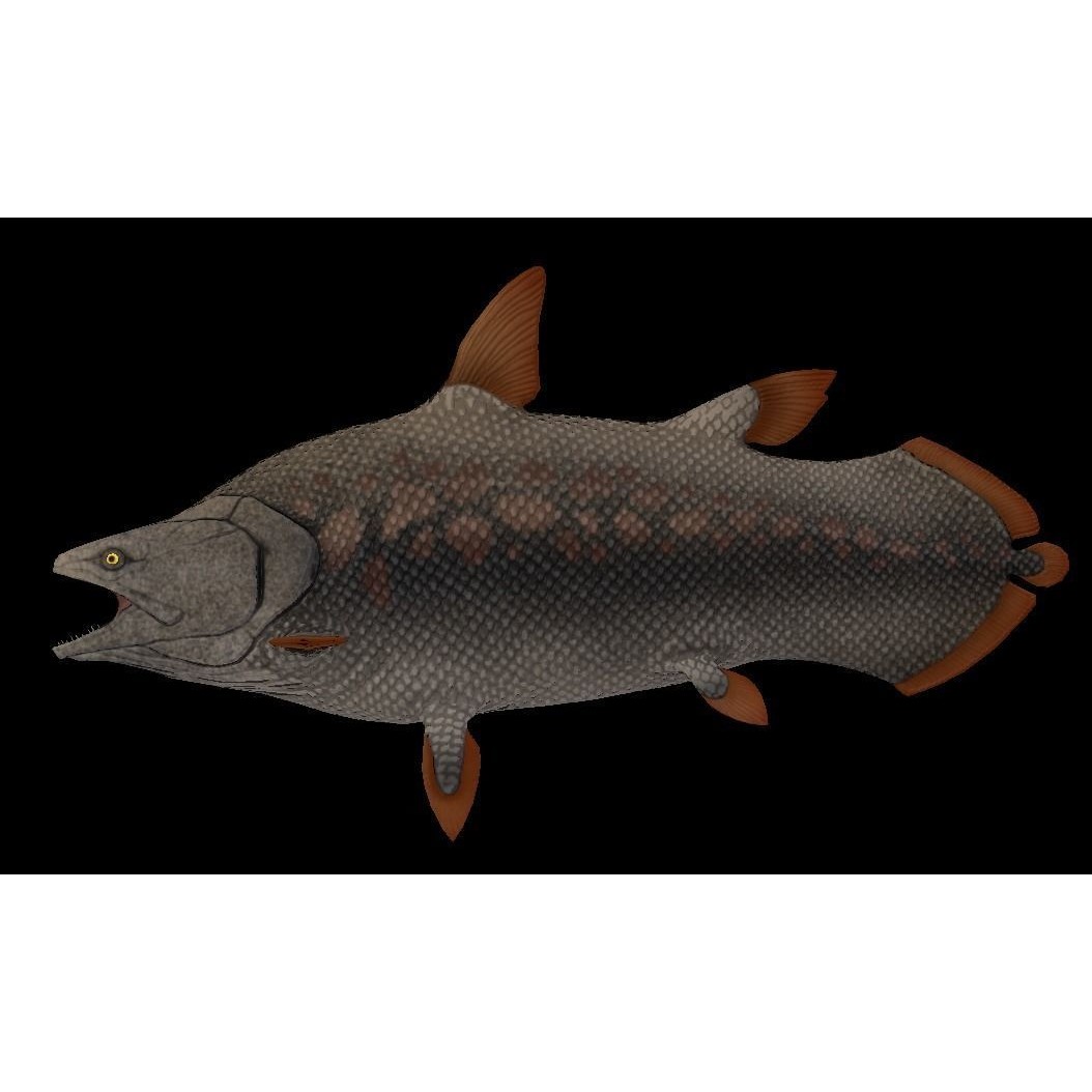 Prehistoric Fish 3D Model – Low Poly Animated Asset, FBX, PBR