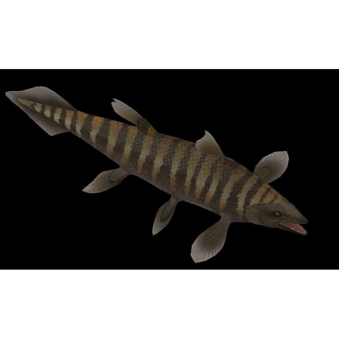Prehistoric Fish 3D Model – Low Poly Animated Asset, FBX, PBR - View 10